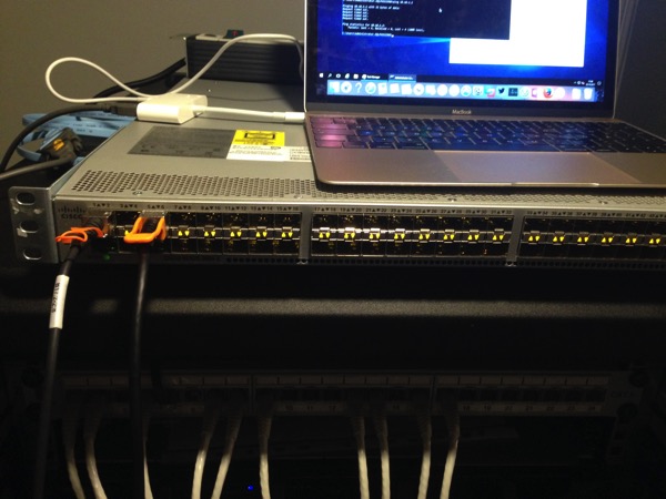 A Cisco Nexus 3064 Switch