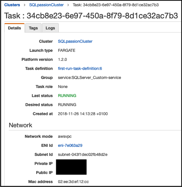 Getting the public IP address of the SQL Server Container