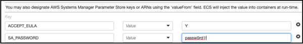 Setting the environment variables for SQL Server