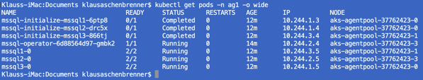 The SQL Server Availability Group Pods