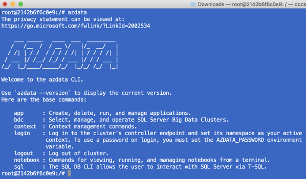 Running azdata in a Docker Container