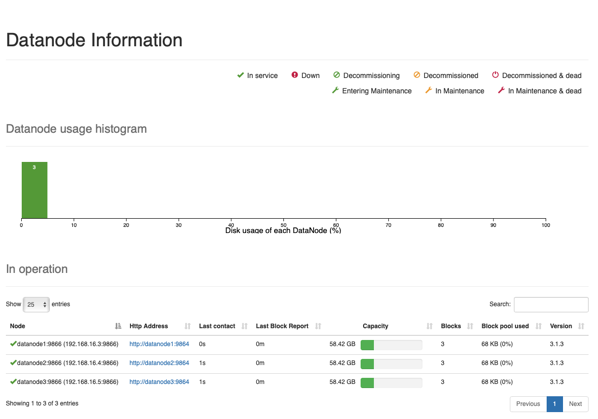 Apache HDFS Name Node