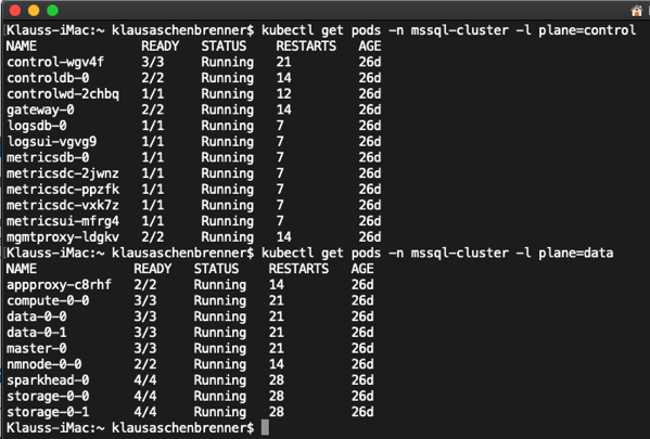 The Kubernetes Pods of each Plane