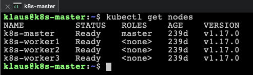 The kubelet is still at version v1.17