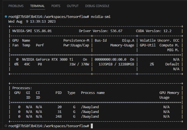 The GPU can be seen from within the Docker Container